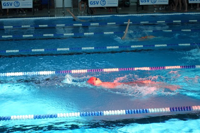 2019 Frühjahrsmeeting